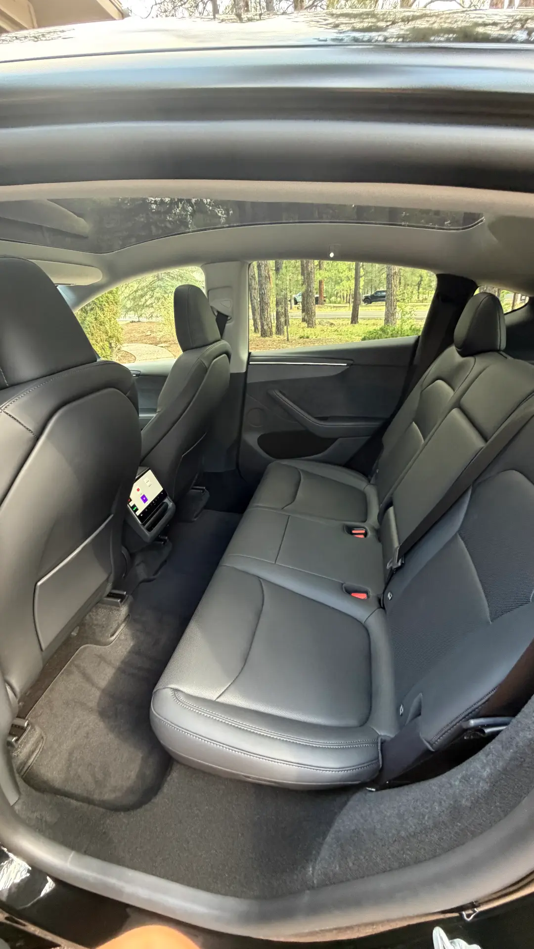 Tesla Model Y rear seats after detail