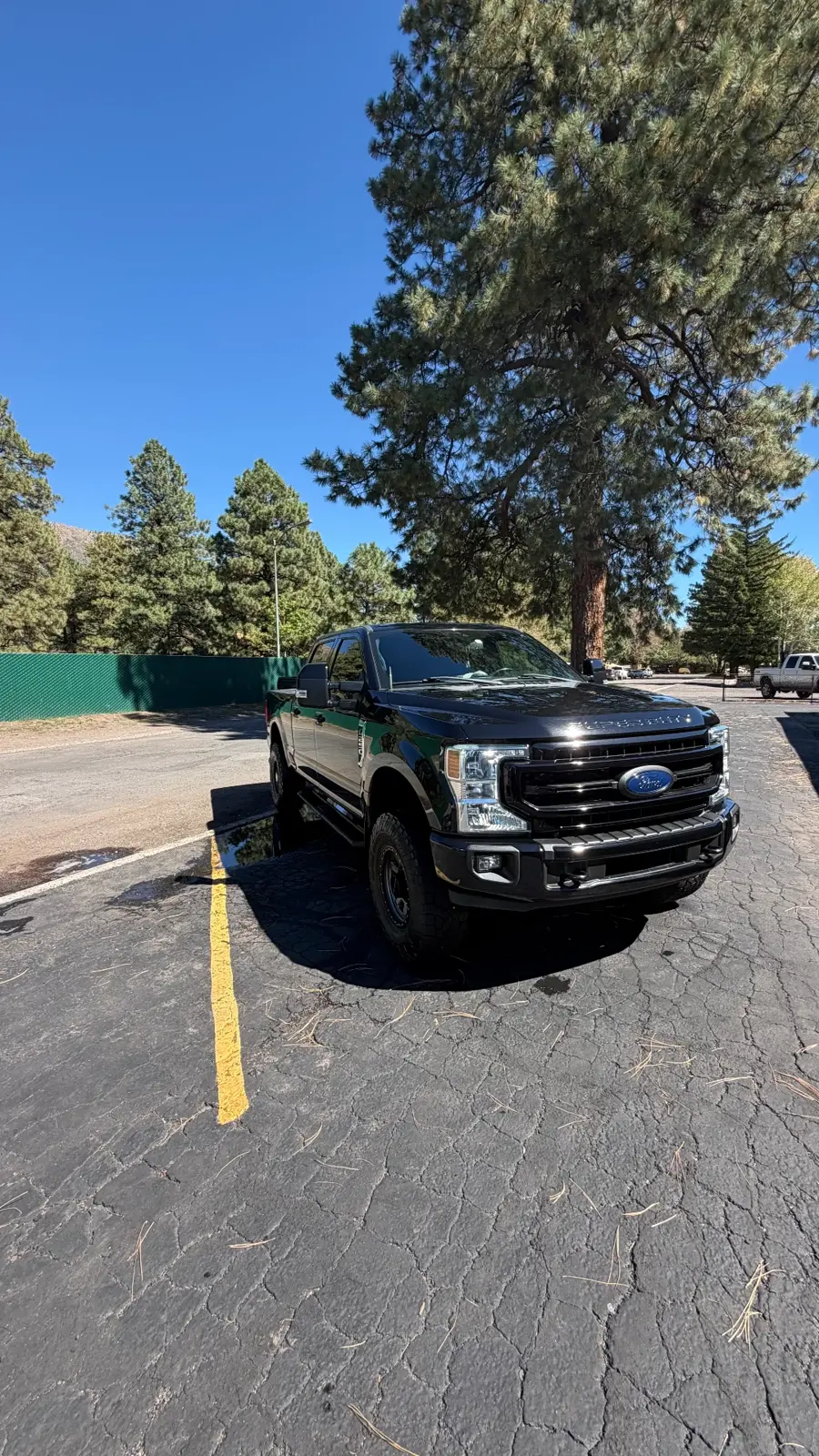 Black Ford Super Duty under pine trees
